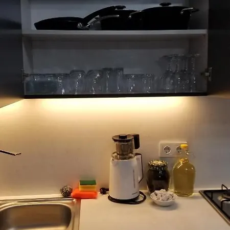 Huge Evleri 1 דירה מרמריס