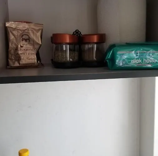 Huge Evleri 1 מרמריס